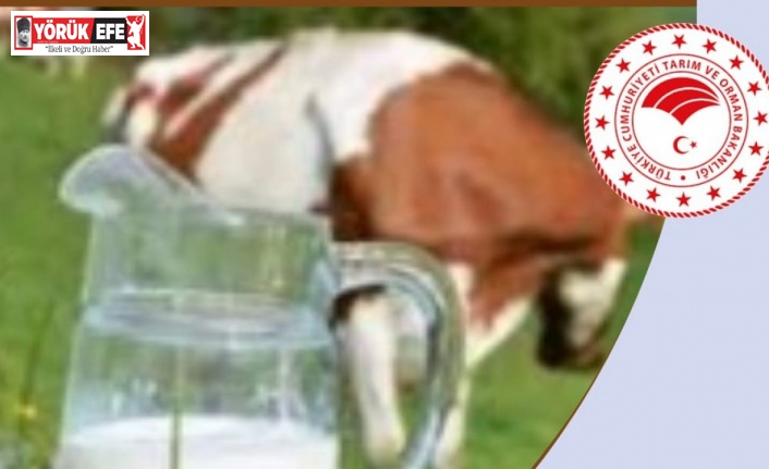 Çiğ süt destek ödemeleri başladı