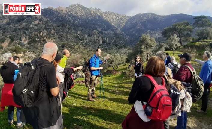 Doğaseverler, Şubat ayında baharı yaşadı