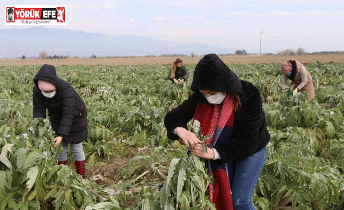 Efeler’in enginarlarına özenli bakım