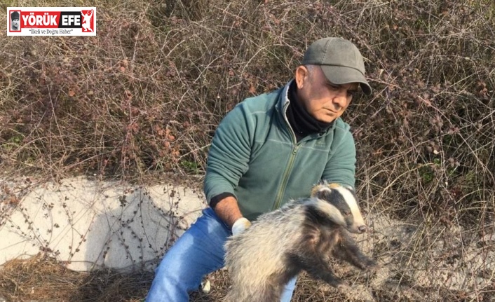 EKODOSD, yaban hayvanları için rapor hazırlayacak