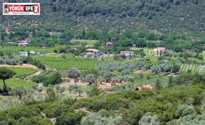 EKODOSD’tan Kirazlı için çağrı