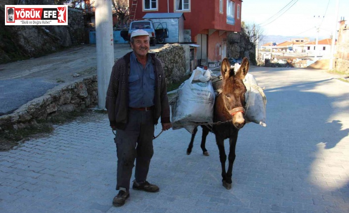 Kırsaldaki yük hayvanları kıymete bindi