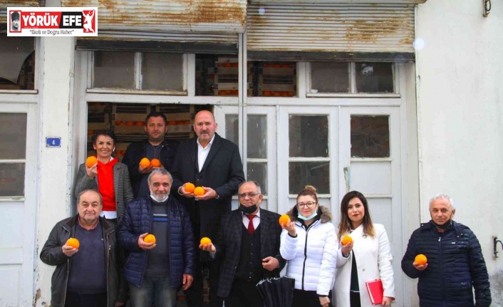 Kuyucak Portakalı için coğrafi işaret çalışması başlatıldı