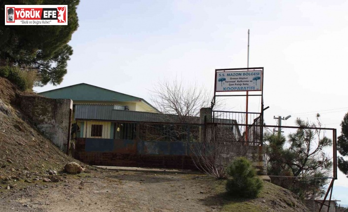 Üreticilere umut olacaktı, şimdi çürümeye terk edildi