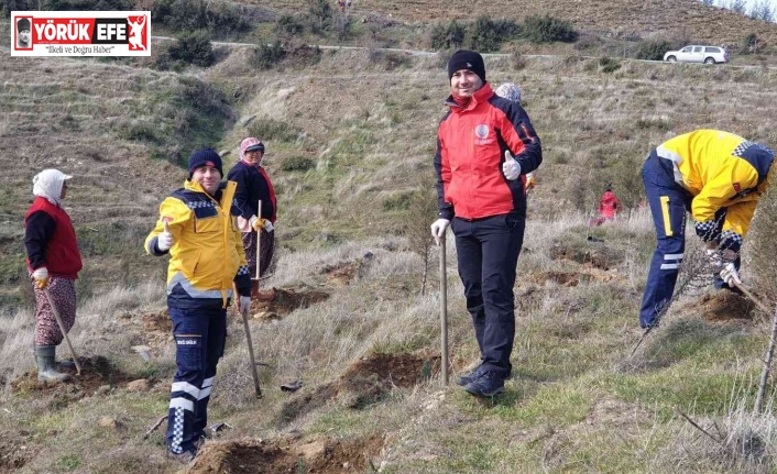 Aydın’da 112 fidan toprakla buluştu