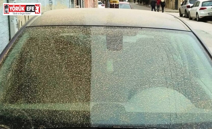 Aydın’da toz taşınımı bekleniyor