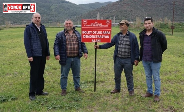 Aydın’da yerli tohum kullanımının arttırılmasına yönelik çalışmalar sürüyor