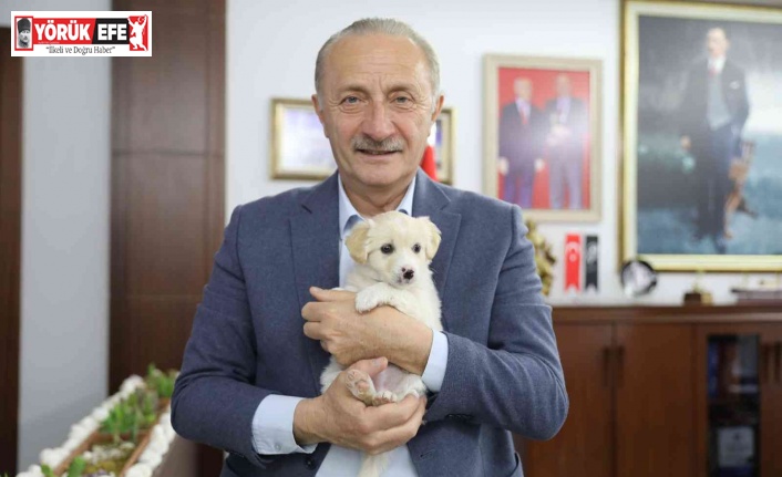 Didim’de can dostlar emin ellerde