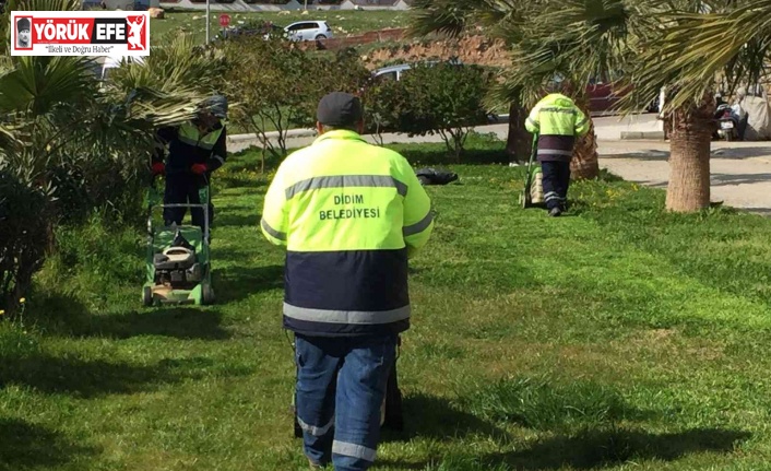 Didim’de yeşil alanlarda çalışmalar devam ediyor