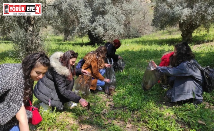 Doğa dostu öğrenciler, çevre temizliği yaptı