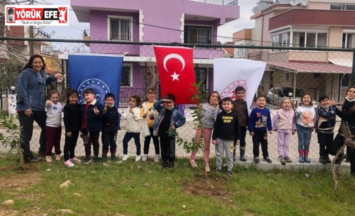 Minik eller, fidanları toprakla buluşturdu