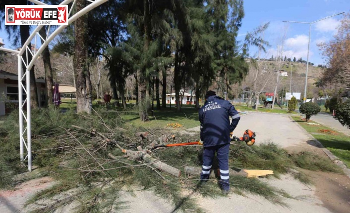 Pınarbaşı Mesire Alanı, Efeler’in festivaline hazır