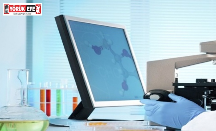 TÜBİTAK 53. Lise Öğrencileri Araştırma Projeleri yarışmalarına Aydın damga vurdu