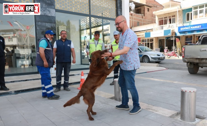 Aydın Büyükşehir Belediyesi, Koçarlı Belediyesi ile sokak hayvanları için ortak çalışma yapıyor