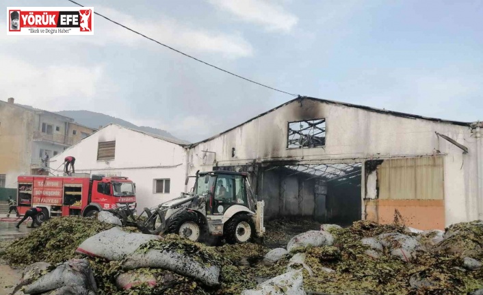 Aydın’da fabrikada çıkan yangında maddi hasar meydana geldi
