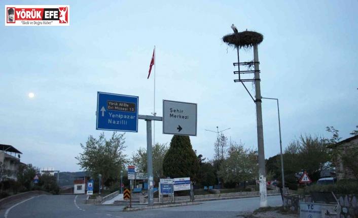 Baharın müjdecisi leylekler Aydın’ı mesken tutuyor