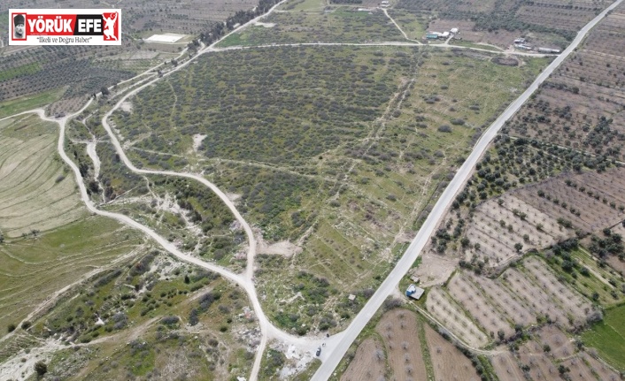 Buharkent Aydın’ın Jeotermal Sera üssü olacak