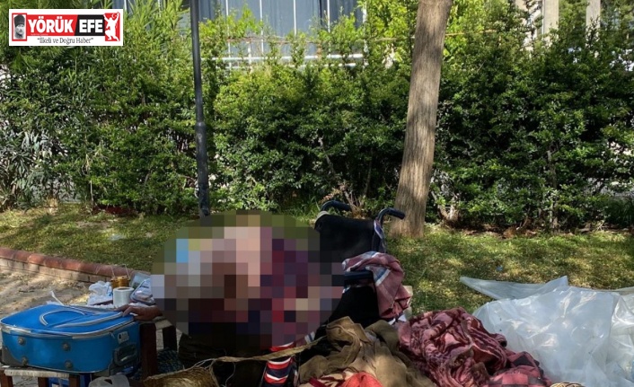 Evsiz vatandaş parkta ölü bulundu