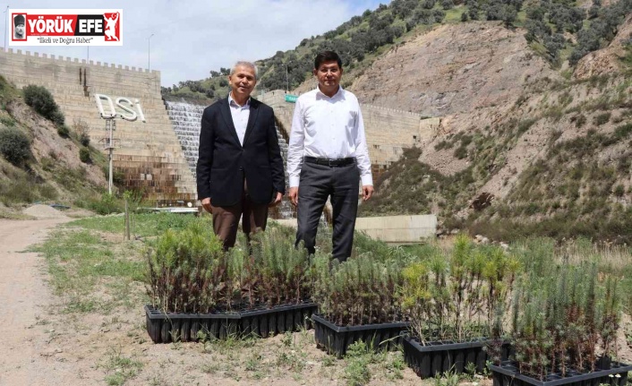 İsabeyli’de 500 fidan toprakla buluştu