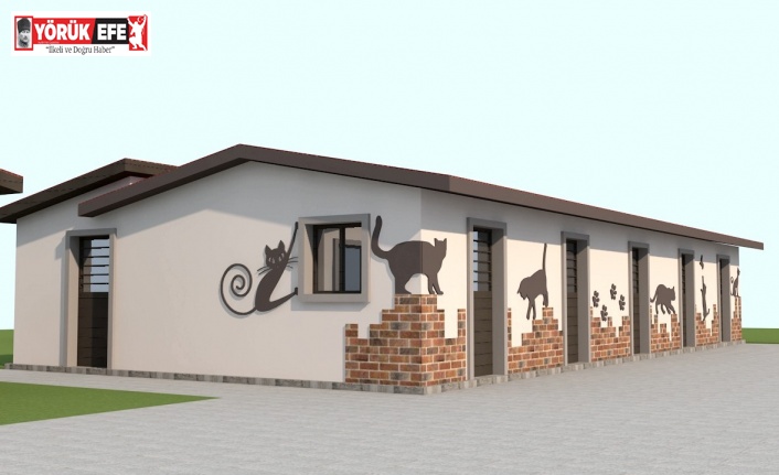 Kuşadası Belediyesi kedi tedavi ünitesi yapımında son aşamaya geldi