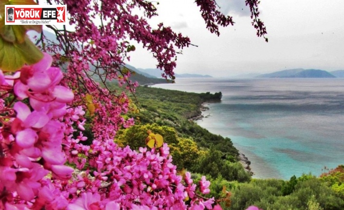 Milli Park’ta yangın tehdidine karşı ortak bildiri