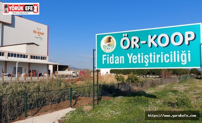 ÖR-KOOP ÜRÜN ÇEŞİTLİLİĞİNDE AÇIK ARA ÖNDE