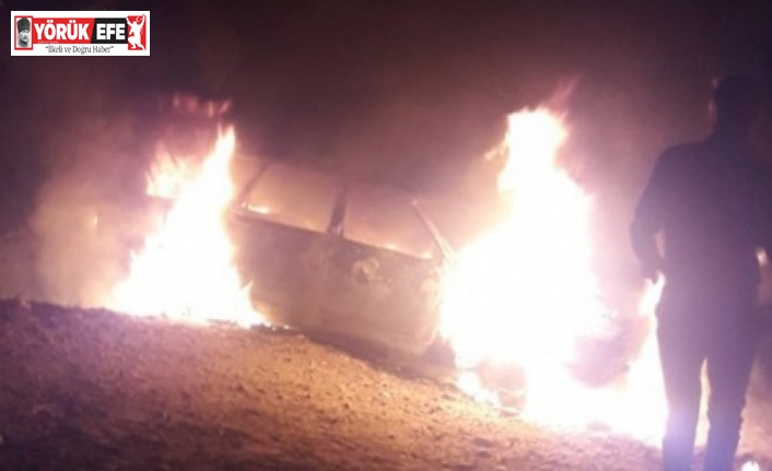 Ağaca çarpan otomobil, cayır cayır yandı