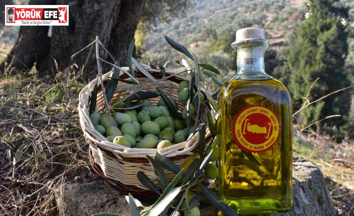 Aydın Ticaret Borsası Olivtech’te yer alacak