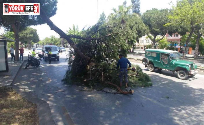 Aydın’da faciadan dönüldü
