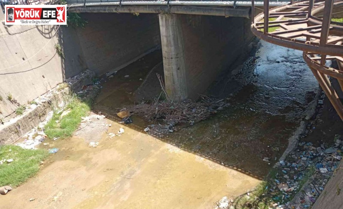 Belediye temizliyor, duyarsız vatandaşlar kirletiyor