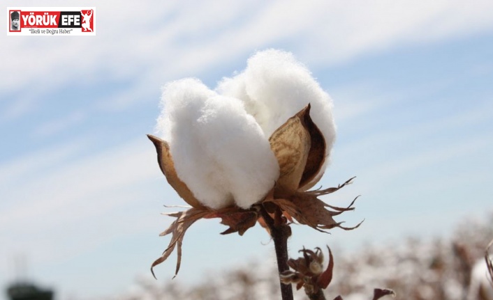 Beyaz altında destek ödemeleri başladı