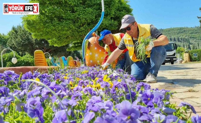 Büyükşehir, Söke’de yaza hazırlık çalışması yapıyor
