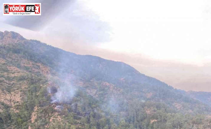 Fethiye’deki orman yangını kontrol altına alındı