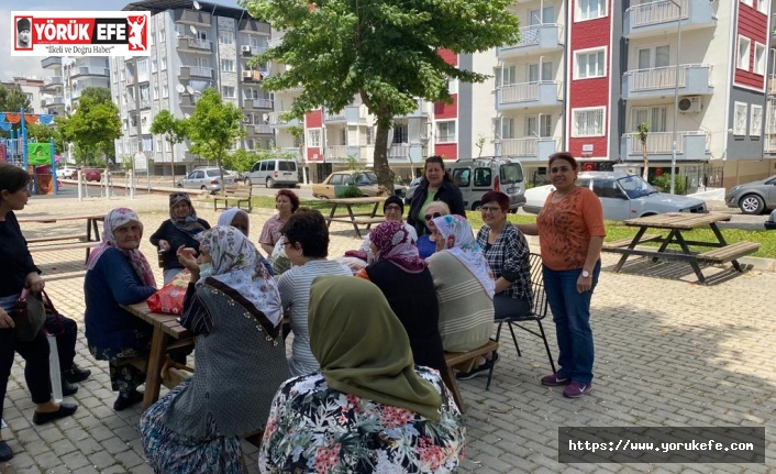 İYİ PARTİ AYDIN KADIN KOLLARINDAN MAHALLE ZİYARETİ