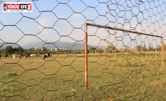 Kime niyet, kime kısmet