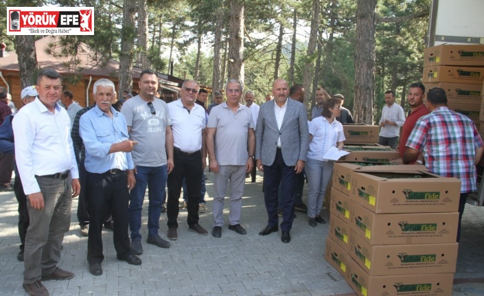 Kuyucak’ta üreticilere binlerce domates fidesi dağıtıldı