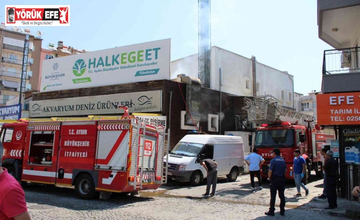 Balık halindeki baca yangını korkuttu