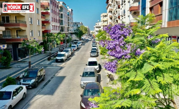 Başkan Atabay; "Didim her geçen gün güzelleşiyor"
