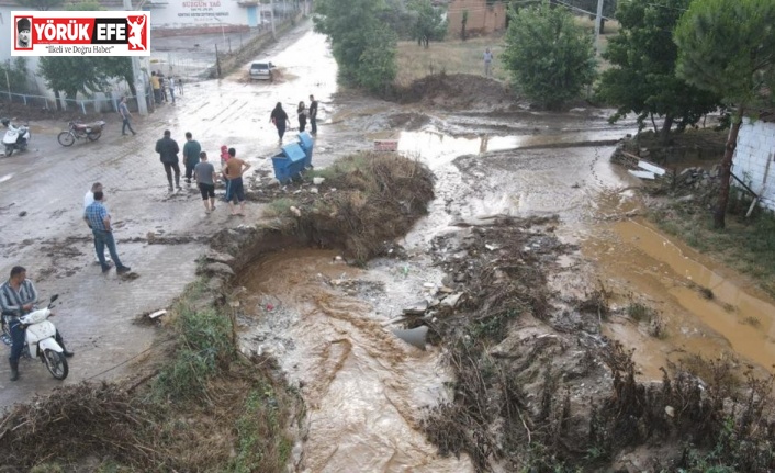 Başkan Özcan’dan DSİ’ye sitem