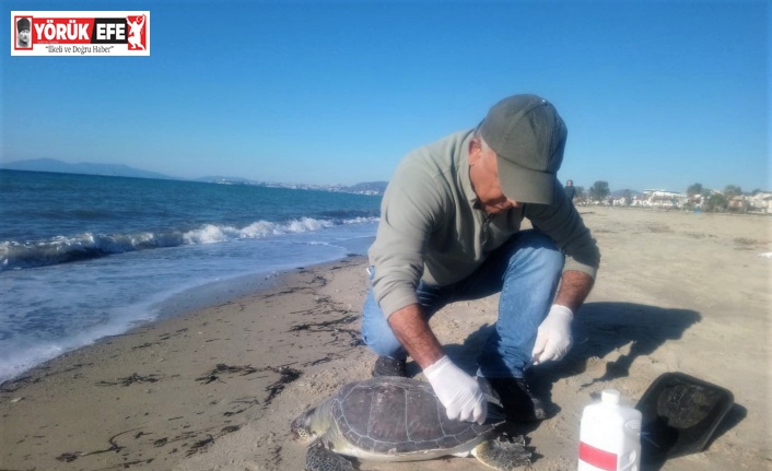 Başkan Sürücü: “Denizlerimiz çöp toplama alanı değil”