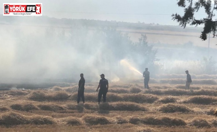 Buğday tarlasında çıkan yangın korkuttu
