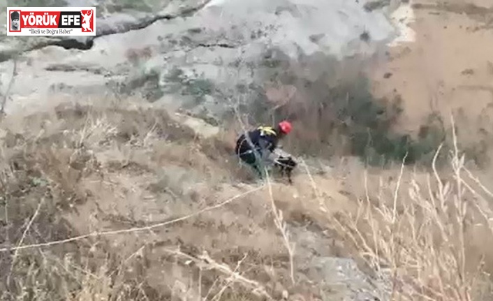 Dağda mahsur kalan köpeğin imdadına itfaiye ekipleri yetişti