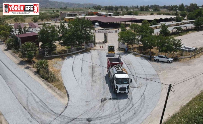 Efeler’de Kurban Bayramı hazırlıkları erken başladı