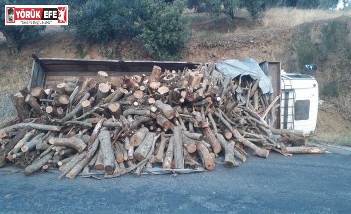 Freni boşalan kamyonun sürücüsü ölümden döndü