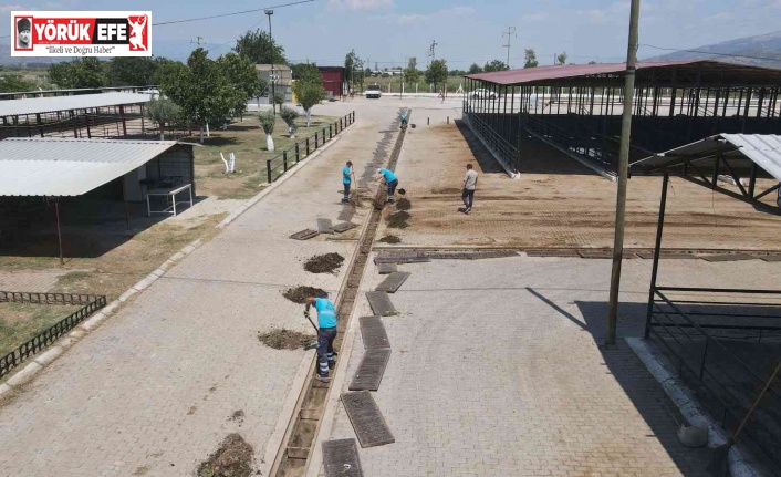 Hayvan Pazarı bayrama hazırlanıyor