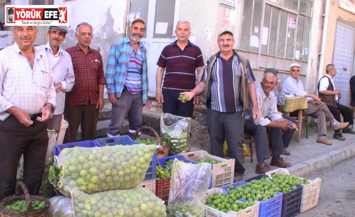 İlek sezonu başladı, kilosu 15 TL’ye alıcı buluyor
