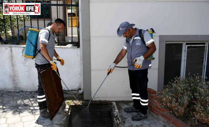 Kuşadası’nda haşere ve kara sineğe karşı etkin mücadele