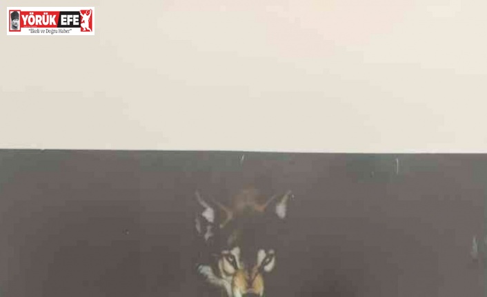 Kuşadası’nda uyuşturucu operasyonu: 3 kişi tutuklandı