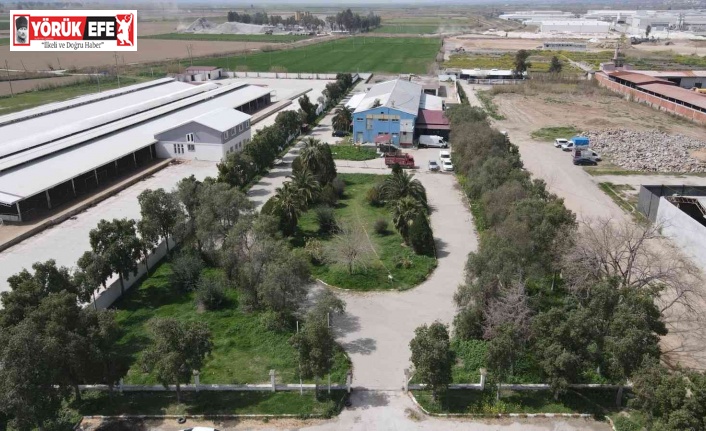 Nazilli’de kurban kesim fiyatları açıklandı