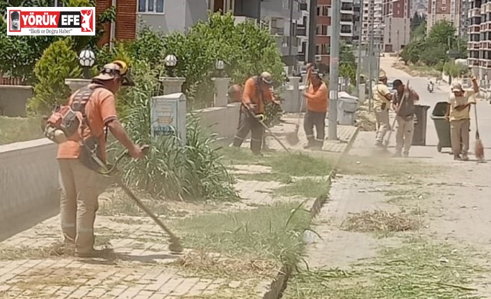 Nazilli’de temizlik seferberliği sürüyor